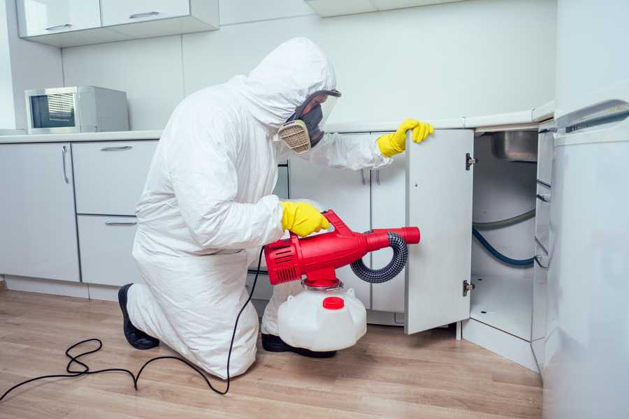 Traitement des insectes rampants — Dératiseur