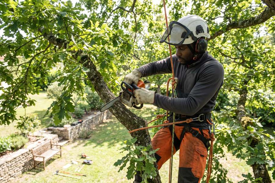 Élagage de sécurité — Élagueur