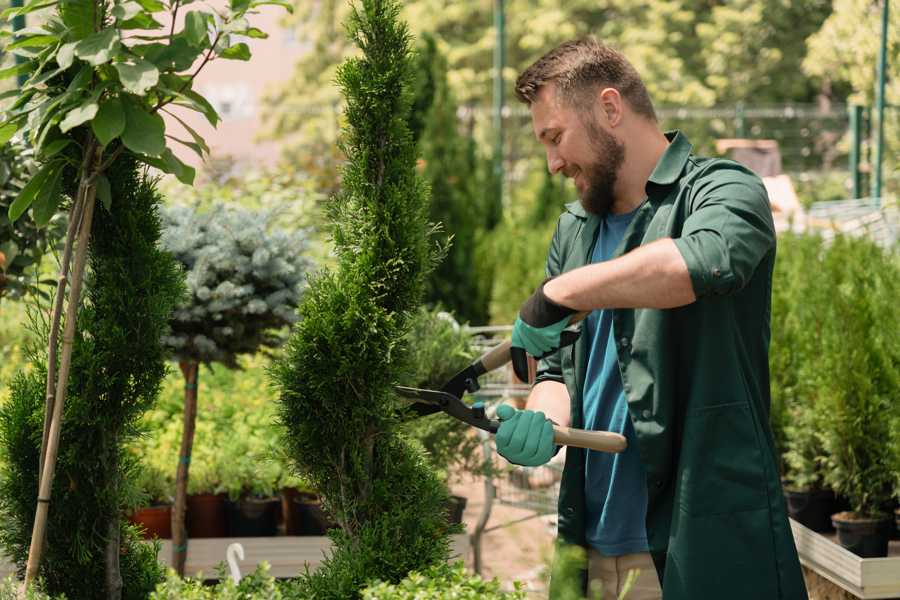 Jardinier à proximité de Albas (46140) | Lot (46) : Installation et entretien à domicile en jardinerie, irrigation, élagage... pour répondre à tous vos besoins.